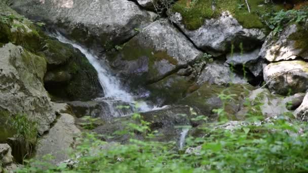 山中有水的溪流 — 图库视频影像