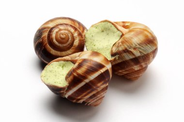 Beyaz arka planda donmuş salyangozlar