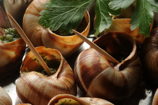 Escargot Bourgogne Wykałaczkami — Zdjęcie stockowe