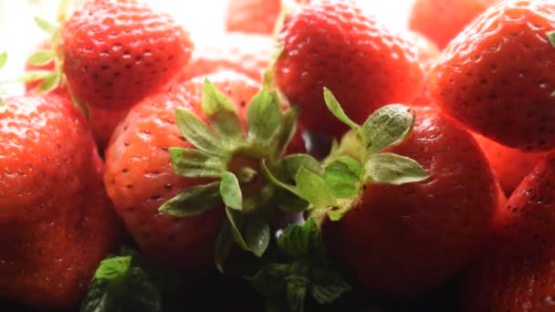 密切留意新鲜草莓 — 图库视频影像