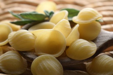 Orecchiette bir İtalyan makarnası türüdür.