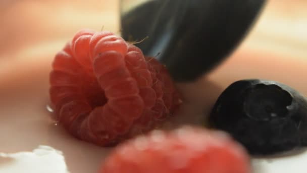 Gros Plan Sur Yogourt Aux Framboises Bleuets — Video