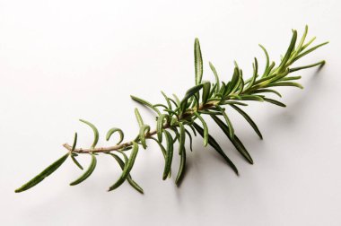 Biberiye dalına yaklaş.