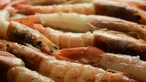 Crevettes Sur Papier Cuisson Avant Cuisson — Video