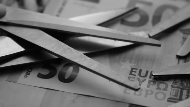 Avvicinamento Alle Forbici Sulle Banconote Euro — Video Stock