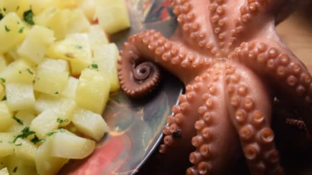 章鱼和土豆沙拉的配制 — 图库视频影像