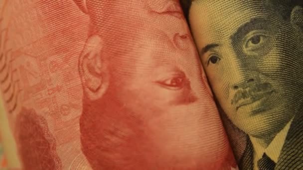 Mao Zedong Noguchi Hideyo Sobre Los Billetes Sus Países — Vídeos de Stock