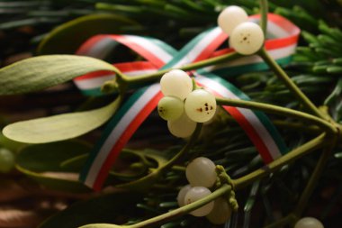 Bayrağı olan bir ökseotu dalına yaklaş