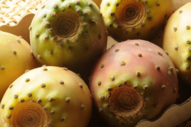 Dikenli armut meyvelerine yaklaş. 