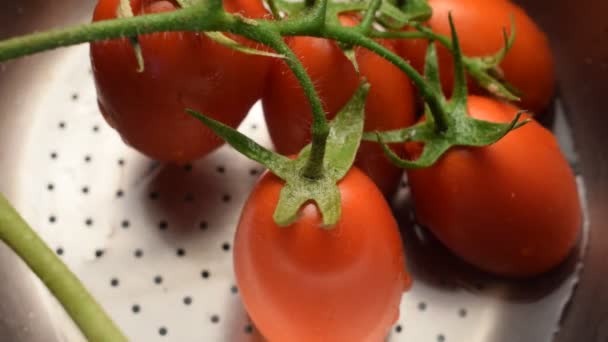 Close Van San Marzano Tomaten — Stockvideo