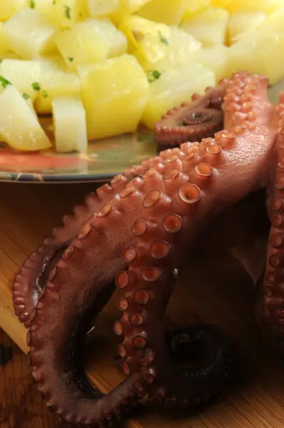Preparation Octopus Potato Salad — Stock Photo, Image