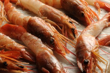 Pişirmeden önce kağıt üzerinde karidesler