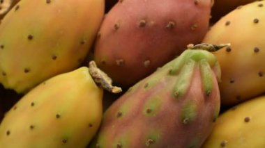 Dikenli armut meyvelerine yaklaş.