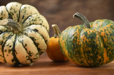 Dekoratif balkabaklarına yakın durun..