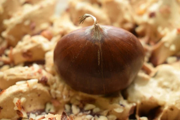 Close Sorvete Com Castanha — Fotografia de Stock