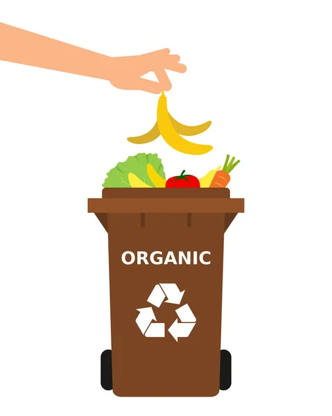 Mano Gettando Una Buccia Banana Cestino Riciclaggio Rifiuti Organici Compost — Vettoriale Stock