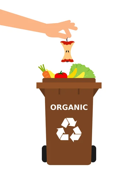 ごみ箱に食べるリンゴを投げている手 リサイクル有機廃棄物 分離廃棄物ごみ 環境にやさしい 概念を並べ替えします 白い背景 ベクトル図 フラット スタイル — ストックベクタ