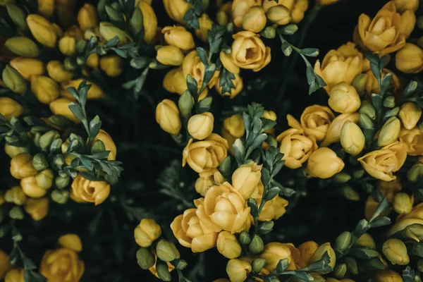 Narin Çiçek Açması Sarı Çiçekleri Sığ Odak Yakın Çekim — Stok fotoğraf