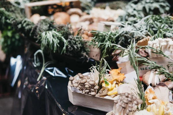 Verschiedene Arten Von Pilzen Die Auf Einem Markt Angeboten Werden — Stockfoto