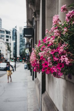 City, Londra, İngiltere, çiçek çiçekler ile bina geçmiş bir sokakta yürüyen kimliği belirsiz kadın.