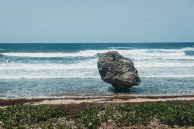 Barbados, kötü sargassum yosun tarafından etkilenen Bathsheba Beach'te görünümünü.