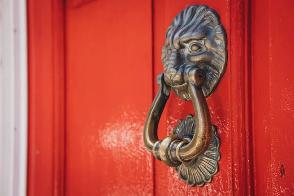 Крупним Планом Лева Голову Двері Молоток Яскраві Червоні Двері Типовий — стокове фото
