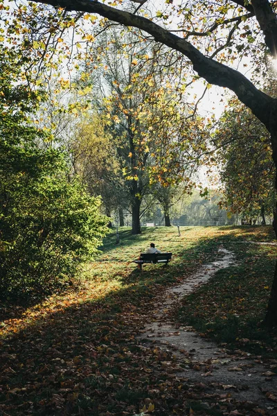 London Verenigd Koninkrijk Oktober 2018 Persoon Zittend Een Bankje Ontspannen — Stockfoto