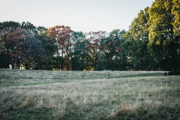 London October 2018 Person Walking Field Hampstead Heath Dusk Hampstead — Stock Photo, Image