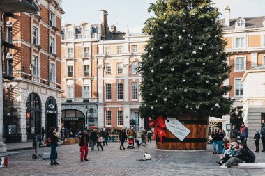 Covent önünde bir hediye etiketi ile bir tencerede dev Noel ağacı
