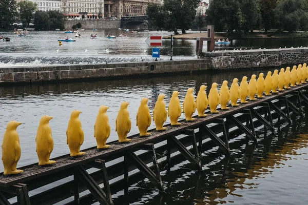 Prague République Tchèque Août 2018 Installation Des Penguins Par Cracking — Photo