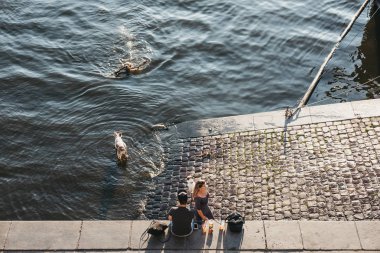 Prague, Çek Cumhuriyeti - 23 Ağustos 2018: bir sıcak yaz günü Prag'da Vltava Nehri'nin dolgu üzerinde oturan insanlar. Vltava Çek Cumhuriyeti içinde en uzun nehridir.