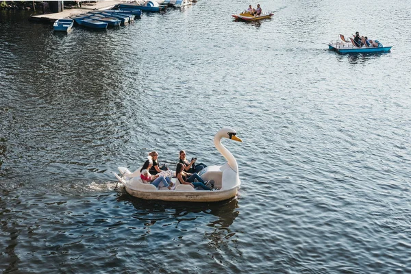 Prague Czech Republic August 2018 Paddle Swan Boat Vltava River — Stock Photo, Image