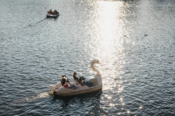 Prague Czech Republic August 2018 Paddle Swan Boat Vltava River — Stock Photo, Image