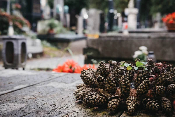 Corona Cono Pino Una Tumba Cementerio Europeo — Foto de Stock