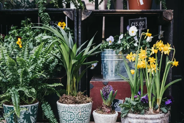 Potted plants and flowers on sale at a street market.