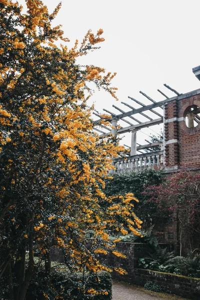 The Hill Garden and Pergola in Golders Green, London, UK. — Stock Photo, Image