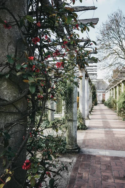 希尔花园和佩戈拉在戈尔德斯格林，伦敦，英国. — 图库照片