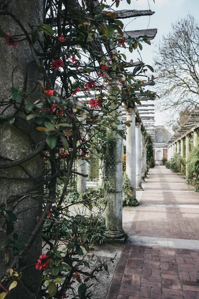 The Hill Garden and Pergola in Golders Green, London, UK. — Stock Photo, Image