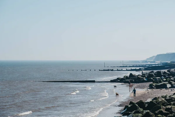 Ludzie z psami korzystających słoneczny dzień na plaży w Sheringham, nie — Zdjęcie stockowe