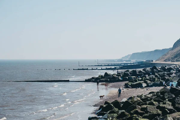 People with dogs enjoying sunny day on a beach in Sheringham, No — Stock Photo, Image