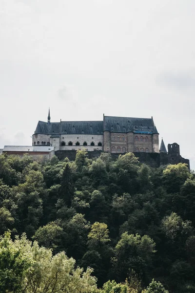 Low angle over the greenery view of Vianden Castle, Luxembourg. — Stock Photo, Image