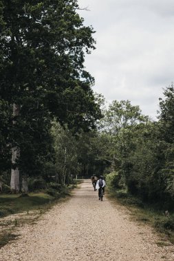 İnsanlar yeni fo içinde bir çakıl yolu üzerinde uzun ağaçlar arasında bisiklet