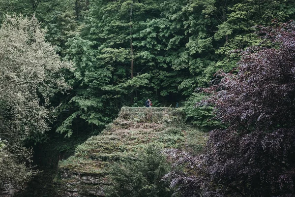 Couple kissing in a distance inside a park in Luxembourg City. — Stock Photo, Image