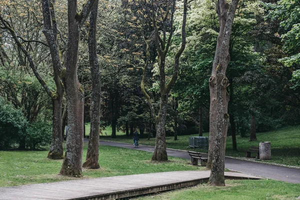 Man fietsen in een park in Luxemburg stad onder het groen. — Stockfoto