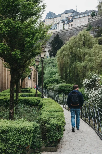 Человек, гуляющий среди зелени в Старом Городе в Люксембурге, Лакс — стоковое фото