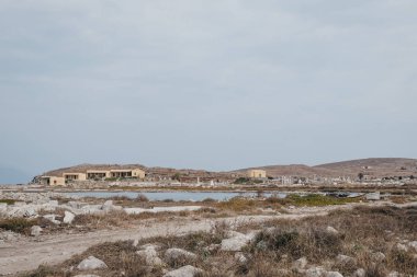Yunanistan 'ın Delos adasındaki Kutsal Göl Harabeleri.