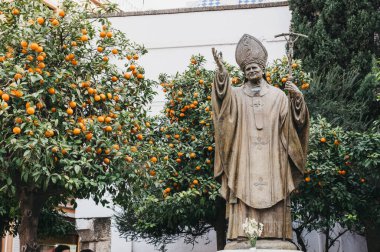 Seville, İspanya - 17 Ocak 2020: The Plaza de Virgen de los Reyes 'teki Papa II. John Paul' un bronz heykeline yakın duruş Seville, Endülüs, İspanya 'da tarihi bir meydandır..