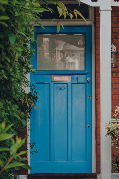 Blue Front Door Traditional Edwardian House London Greenery Selective Focus — Stock Photo, Image