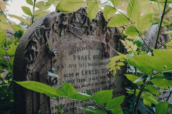 Лондон Великобритания Июня 2020 Крупный План Надгробия Кладбище Хэмпстед Историческое — стоковое фото