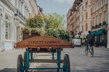 Covent Garden, İngiltere 'de Covent Garden' da, aydınlık bir yaz gününde üzerinde çiçekler olan ahşap bir el arabasının üzerindeki 